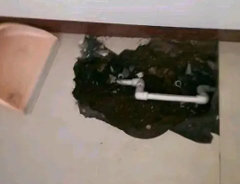 潘集卫生间测漏水多少钱